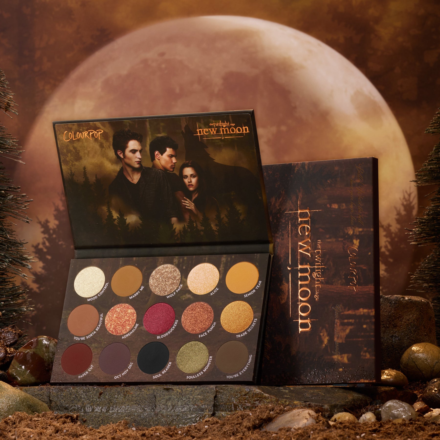 New Moon - Daily Set