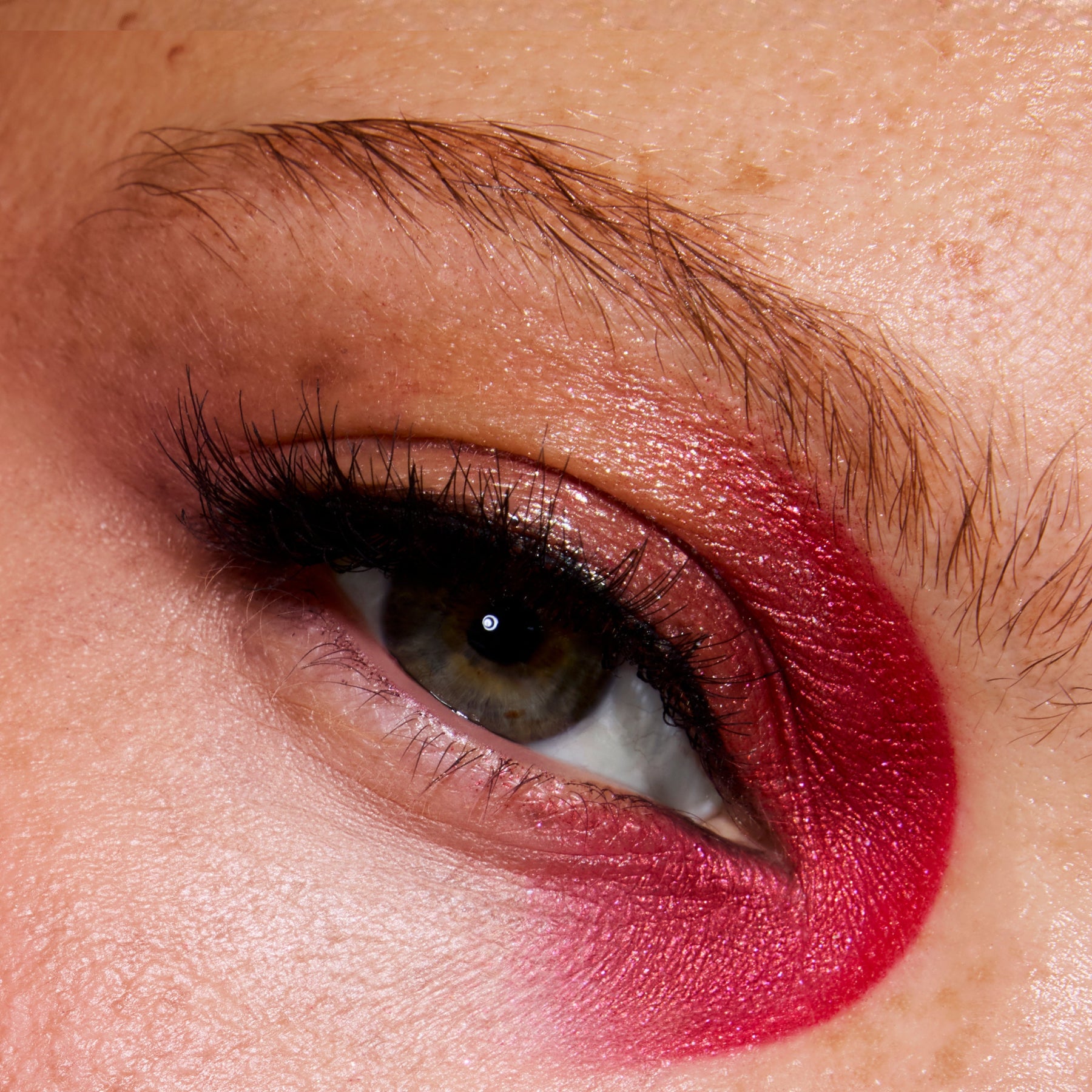 Eclipse - Warm Blend
